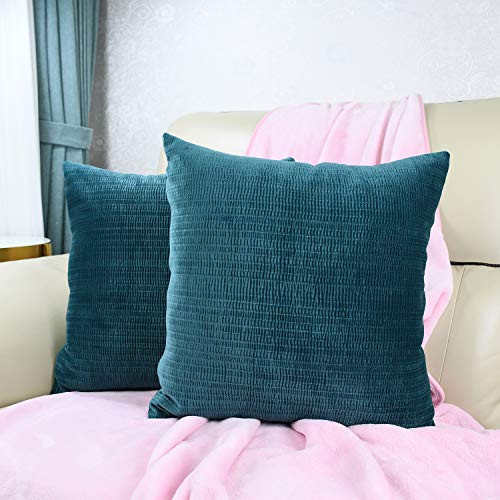 fangzhuo Set of 2 Corn Kernels Velvet Throw Pillow Covers Square Soft Decorative Cushion Covers Pillowcase for Couch Sofa Bed Living Room 16x16 Inch T