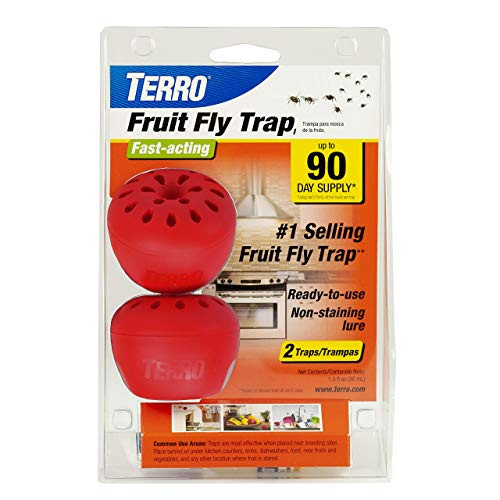 Woodstream TERRO T2502 Fruit Fly Trap  2 Traps _ 2 Pack