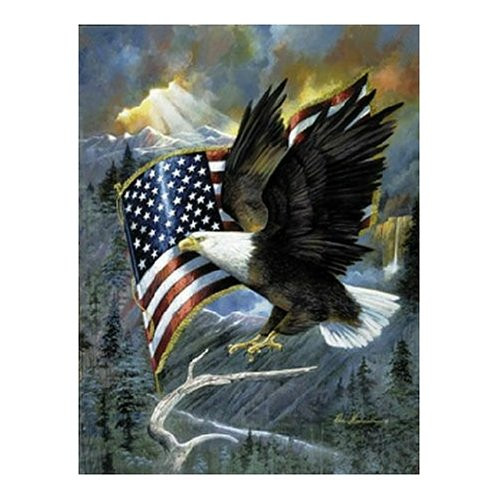 Sunsout American Eagle 500 Piece Jigsaw Puzzle
