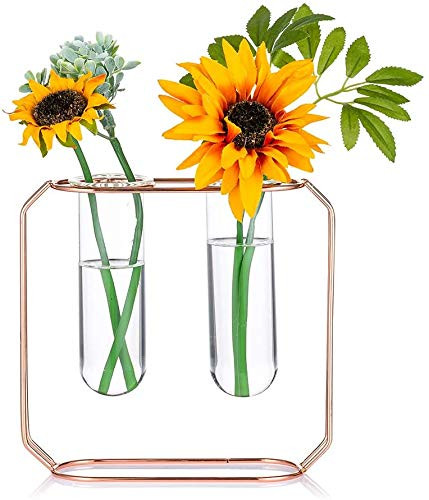 Urbanic Jungle Tubes Modern Tabletop Metal Frame Test Tube Vase Planter Terrariums Metal Stand with 2 Test Tube Perfect for propagation station_ Hydro