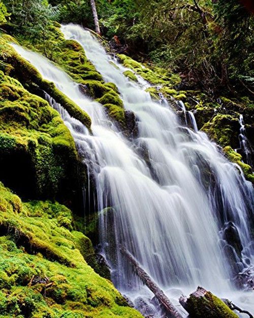 Posterazzi Water Rocks Upper Proxy Falls Willamette National Forest Lane County Oregon USA Poster Print by Panoramic Images_  14 x 11 _ Varies