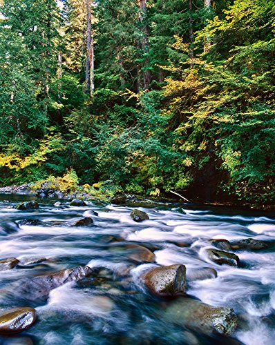 Posterazzi Scenic View Flowing Through Rocks North Santiam River Willamette National Forest Lane County Oregon USA Poster Print by Panoramic Images_