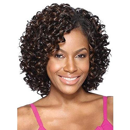 GNIMEGIL Trendy Afro Curly Wigs for Women Synthetic Hair African American Wigs Big Fluffy Brown Loose Costume Halloween Wigs Party Mommy Wigs for Ladi GNIMEGIL Trendy Afro Curly Wigs for Women Synthetic Hair African American Wigs Big Fluffy Brown Loose Costume Halloween Wigs Party Mommy Wigs for Ladi