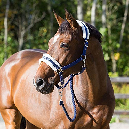 HORZE Howard Padded Fleece Comfortable Adjustable Polyester Horse Halter _ Peacoat Dark Blue _ Horse