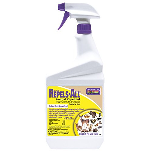 Bonide 238 Qt Rtu Animal Repellent, 1, Clear