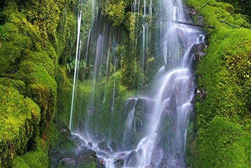 Posterazzi Waterfall Over Moss_Covered Rocks Poster Print_  18 x 12