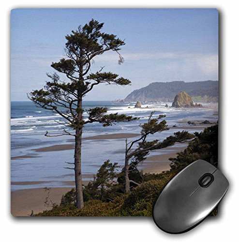 3D Rose inch Cannon Beach and Haystack Rock Oregon UsaUs38 Jwi0503Jamie and Judy Wild inch  Matte Finish Mouse Pad _ 8 x 8 inch  _ mp_145761_1