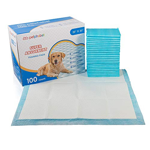 Petphabet 22X23 Puppy Dog Training Potty Pee Piddle Pads Ultra_Absorbent Pet Pee Pee Pads for Puppy Housebreaking