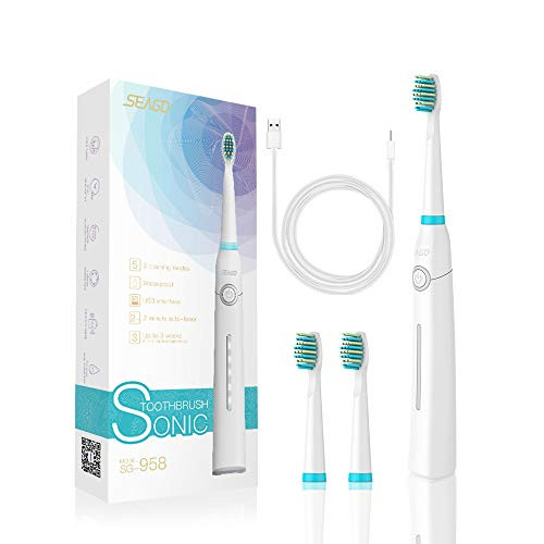 ReDISEN Electric Toothbrush for Adults and Teens Sonic Rechargeable Toothbrush for Kids and Adults 5 Modes with Smart Timer USB Powered Travel Waterpr