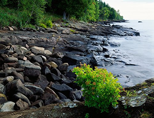 Posterazzi Rocks and trees along Lake Superior shoreline Cascade River State Park Minnesota USA_ Poster Print_ 9 x 27 Posterazzi Rocks and trees along Lake Superior shoreline Cascade River State Park Minnesota USA_ Poster Print_ 9 x 27