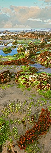 Posterazzi Rock formations in the coast Las Rocas Baja California Mexico Poster Print_  27 x 9