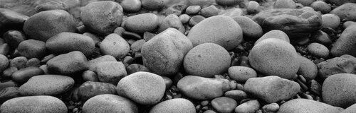 Posterazzi Close_Up Of Rocks Acadia National Park Maine USA Poster Print_  27 x 9
