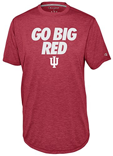 Champion Mens Touchback Short Sleeve TEE_ Pro Garnet Red Heather_ Medium