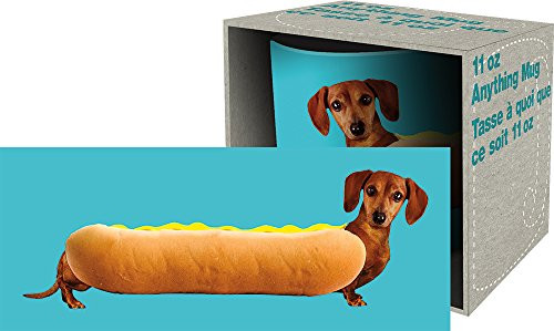 Aquarius Wonderful Weiners 11 oz Boxed Ceramic Mug