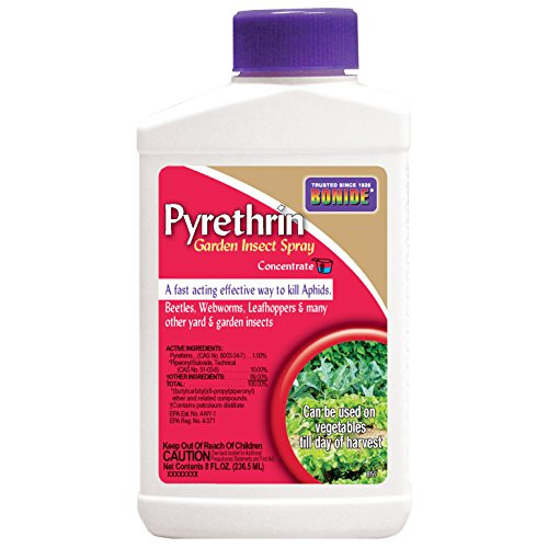 Bonide Products 857 Pyrethrin Spray Concentrate, 8-Ounce