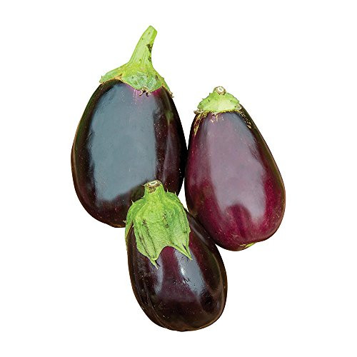 Burpee Black Beauty Organic Heirloom Eggplant Seeds 50 seeds