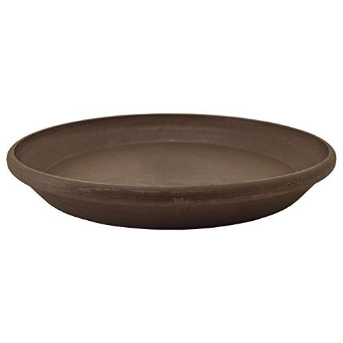 PSW AP25C Single Saucer 10-Inch Chocolate