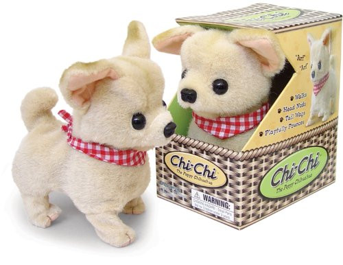 Westminster Chi-Chi Chihuahua