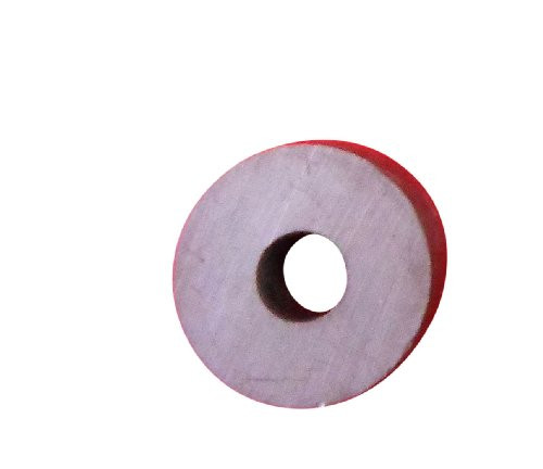 Ajax Scientific Ceramic Ring Magnet 19mm Diameter