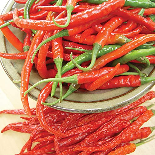 Burpee Cayenne Hot Pepper Seeds 20 seeds