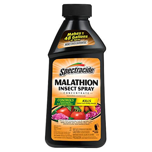 Spectracide 60900 Malathion Insect Spray Concentrate HG-60900 16-Ounce