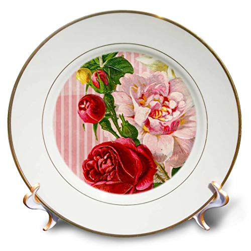 3dRose Stripes Red and Pink Roses-Porcelain Plate, 8-inch (cp_222937_1)