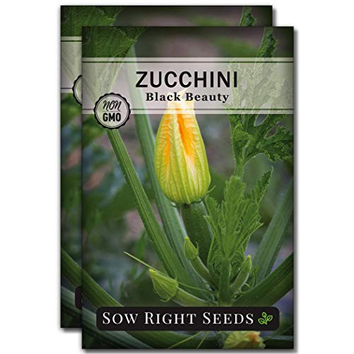 Sow Right Seeds - Black Beauty Zucchini Seed for Planting - Non-GMO Heirloom Packet with Instructions to Plant a Home Vegetable Garden - Great Gardening Gift 2