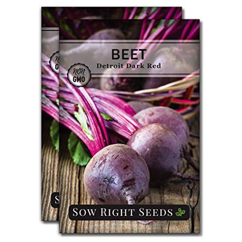 Sow Right Seeds - Detroit Dark Red Beet Seed for Planting - Non-GMO Heirloom Packet with Instructions to Plant a Home Vegetable Garden - Great Gardening Gift 2