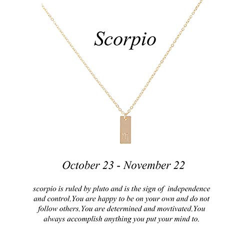 Message Card 12 Zodiac Necklace Woman Constellations Sign Tag Pendant Necklace Birthday Gifts Jewelry J?Scorpio 24 Oct 22 Nov Message Card 12 Zodiac Necklace Woman Constellations Sign Tag Pendant Necklace Birthday Gifts Jewelry J?Scorpio 24 Oct 22 Nov