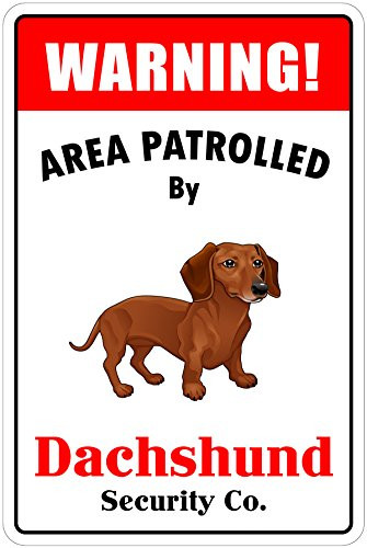 StickerPirate Warning Area Patrolled by Dachshund 8X12 Novelty Dog Sign