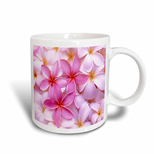 3dRose mug-55235-1Pink Plumeria Ceramic Mug 11 oz Multicolor