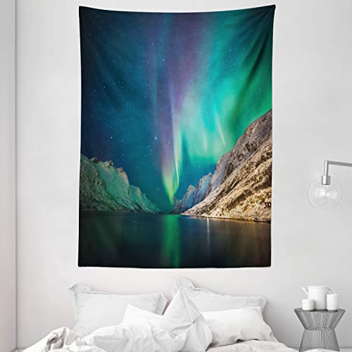 Ambesonne Nature Tapestry Mystical Aurora Borealis Above The Rocky Hills Magnetic Poles Solar Space Panorama Wall Hanging for Bedroom Living Room Dorm Decor 60 X 80 Jade Green