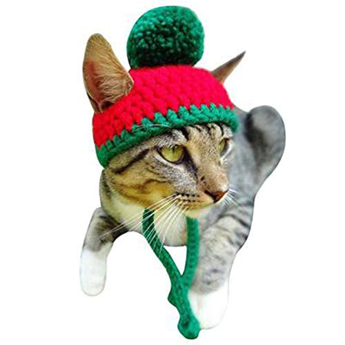 Shark strawberry Cat Costume Santa Hats pet hat Costume Santa Suit Red