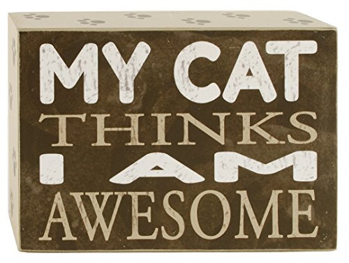 Blossom Bucket My Cat Thinks Wall Box Sign