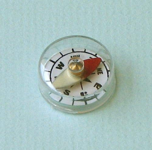 Compass Magnetic Plastic Body 20mm Pack of 100