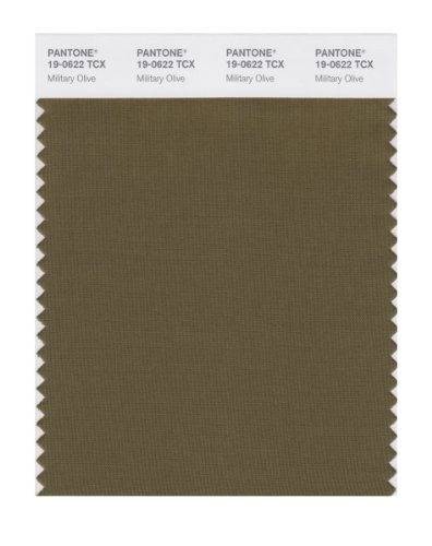 PANTONE Smart 19-0622X Color Swatch Card Military Olive