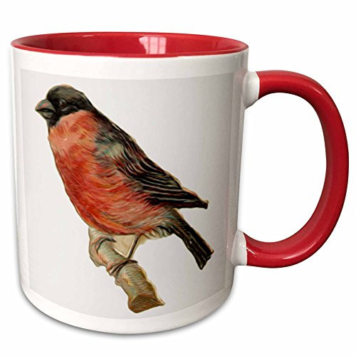 3dRose mug_104659_5 Vintage Perched Red Robin Bird Illustration Ceramic, 11 oz, Red/White