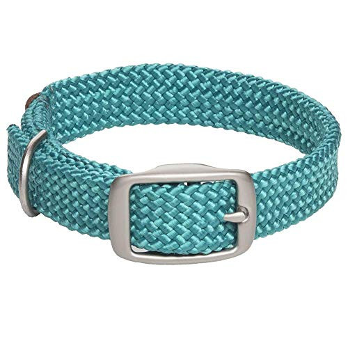 Mendota Pet Double Braid Collar - Satin Nickel - Dog Collar - Made in The USA - Teal  916 in x 14 in Junior