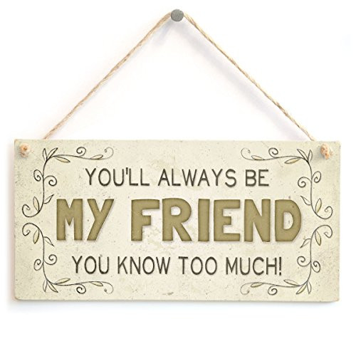 Meijiafei Youll Always Be My Friend You Know Too Much! - Beautiful Home Accessory Gift Sign Funny Friendship Present 10x5