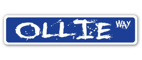 Ollie Street Sign Skate Skateboarding Skates ramp Skate  IndoorOutdoor   24 Wide