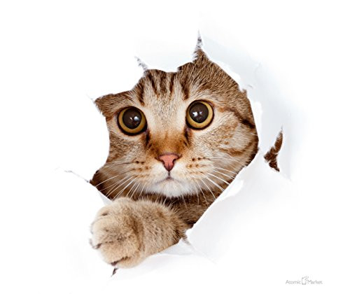 Kitten Coming Out Of Mouse Pad Thick Mousepad by Atomic Market