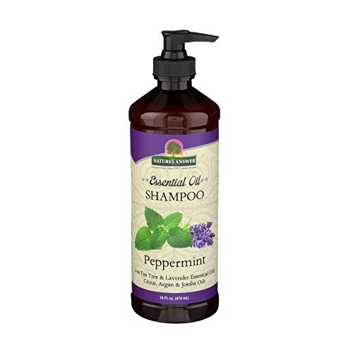 Natures Answer Essential Oil Shampoo with Pump Peppermint 16-Ounce  For Perfect Hair  Damaged Hair Revival  Scalp Care  Essential Oil Infused