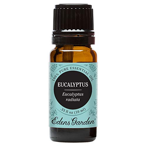 Edens Garden Eucalyptus Radiata Essential Oil 100% Pure Therapeutic Grade Congestion and Energy 10 ml Edens Garden Eucalyptus Radiata Essential Oil 100% Pure Therapeutic Grade Congestion and Energy 10 ml