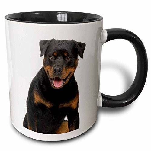 3dRose Rottweiler - Two Tone Black Mug 11 oz Multicolored 3dRose Rottweiler - Two Tone Black Mug 11 oz Multicolored