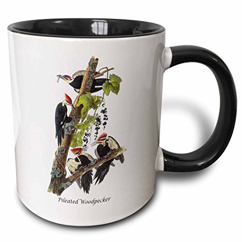 3dRose Pileated Woodpecker by John James Audubon Two Tone Mug 11 oz BlackWhite