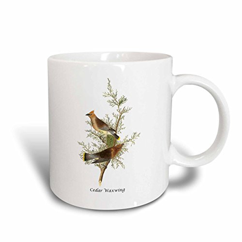 3dRose Cedar Waxwing By John James Audubon Ceramic Mug 11 oz White