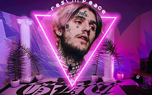 value  and  variety Lil peep Poster 12 x 18 Inch