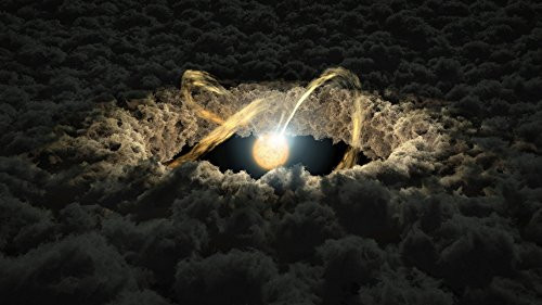 Artist concept of a star surrounded by a protoplanetary disk with magnetic field lines Poster Print by Stocktrek Images 17 x 11