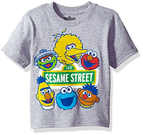 Sesame Street Boys Toddler Short Sleeve T-Shirt Heather Grey 5T