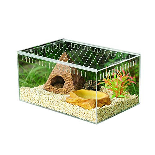 Biback Clear Reptile Breeding BoxSmall Acrylic Terrarium Full View Visually with Sliding Design Feeding Box for Insect Reptiles Tarantulas Amphibians Lore Caterpillars Cricket Spider Snail Reptile